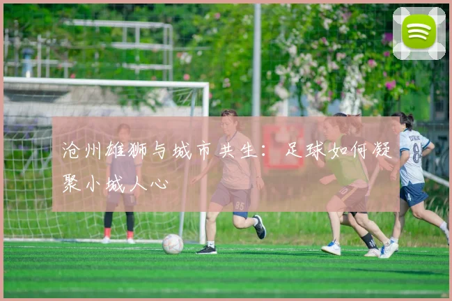 沧州雄狮与城市共生：足球如何凝聚小城人心