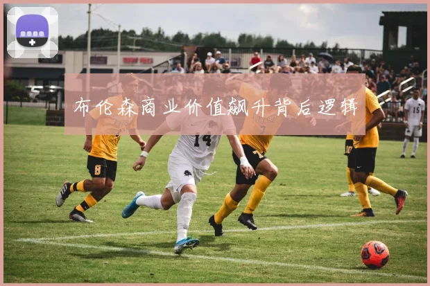 布伦森商业价值飙升背后逻辑