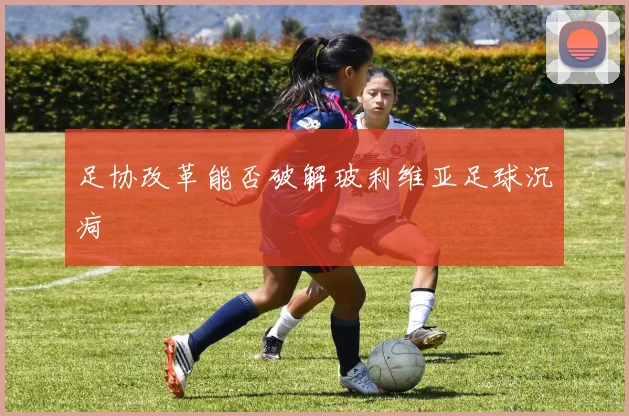 足协改革能否破解玻利维亚足球沉疴