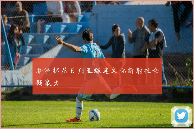 非洲杯尼日利亚球迷文化折射社会凝聚力