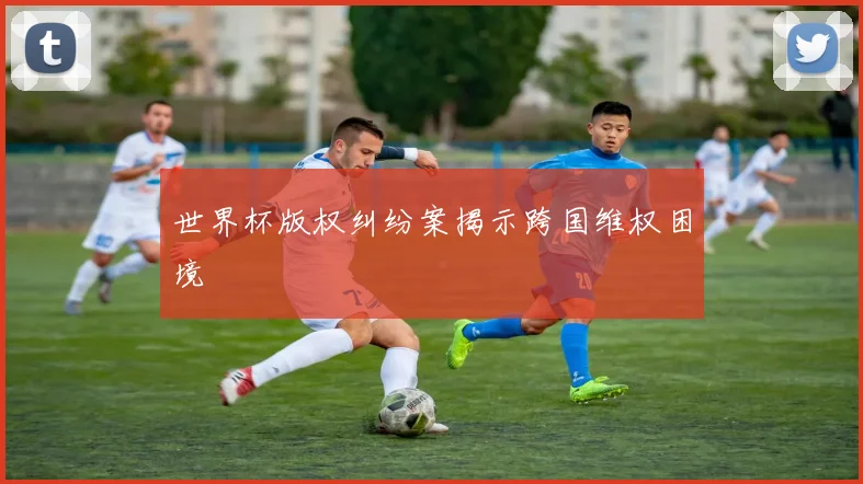 世界杯版权纠纷案揭示跨国维权困境