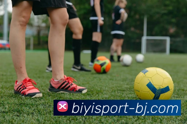 必一体育全站App